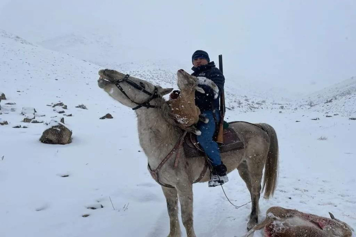 Naxçıvanda dağ keçisi ovlayanlar saxlanılıb- FOTO