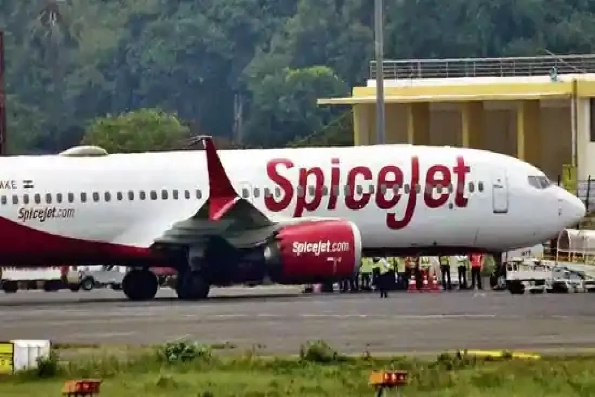 Bird-hit aircraft makes emergency landing in western India
