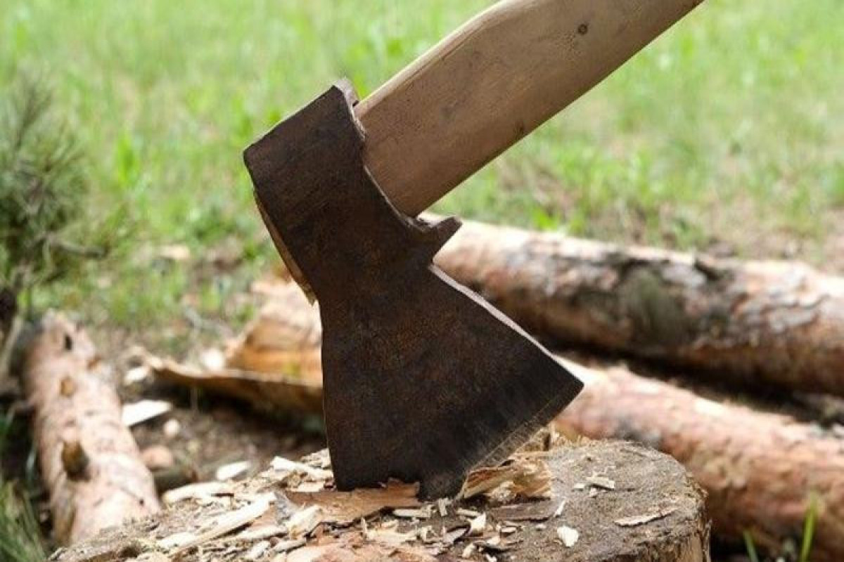 Ağacların qanunsuz kəsilməsinə görə cərimələr 4-5 dəfə artırılacaq, həbs cəzası veriləcək