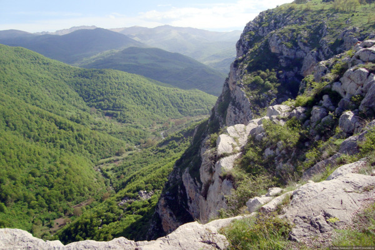 Azerbaijan restores Topkhana forest