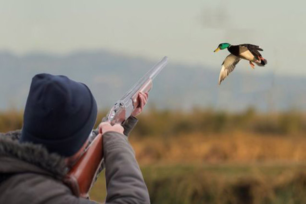 Yemeni and US citizens punished for violating hunting rules in Azerbaijan