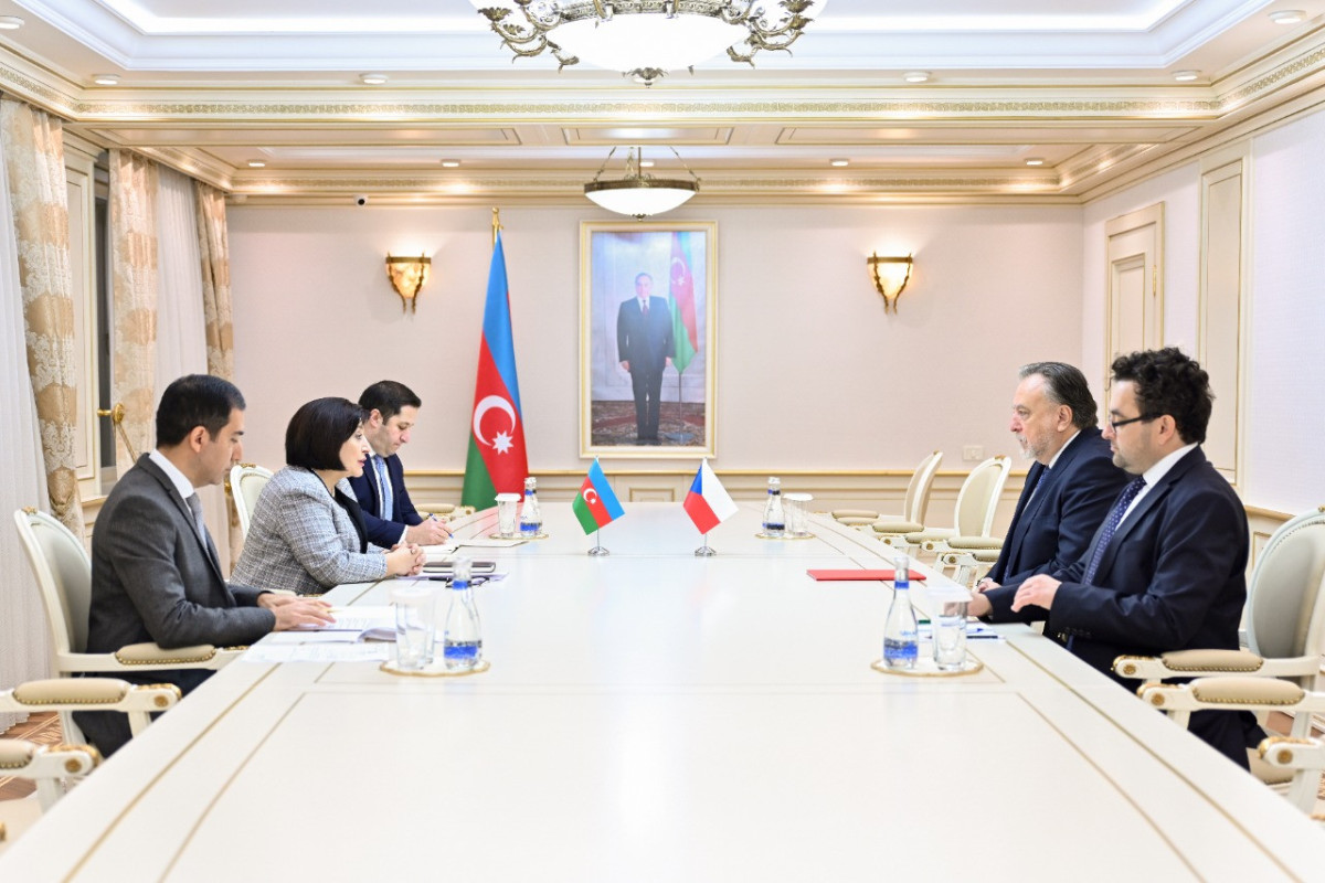 Sahibə Qafarova Çex Respublikasının səfiri ilə görüşüb