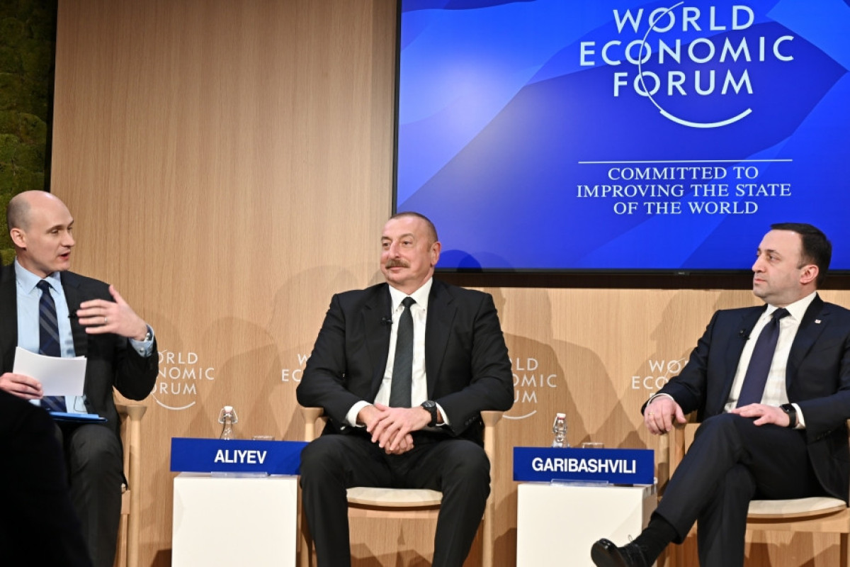 Azerbaijani President: We are working very hard on diversification of our economy