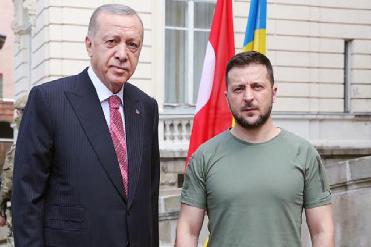 Recep Tayyip Erdogan, President of Turkiye and Volodymyr Zelensky, President of Ukraine