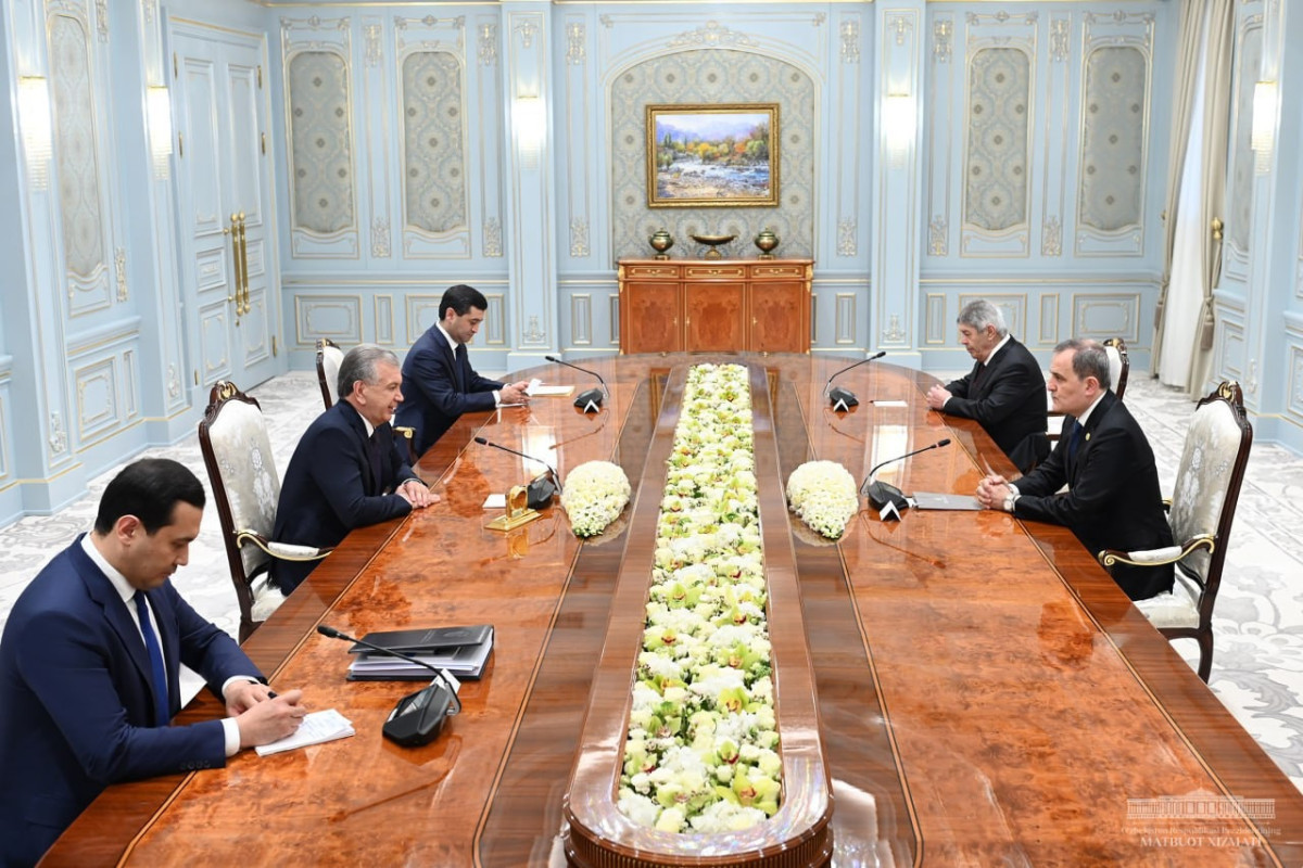 Azerbaijani FM meets with Uzbek President