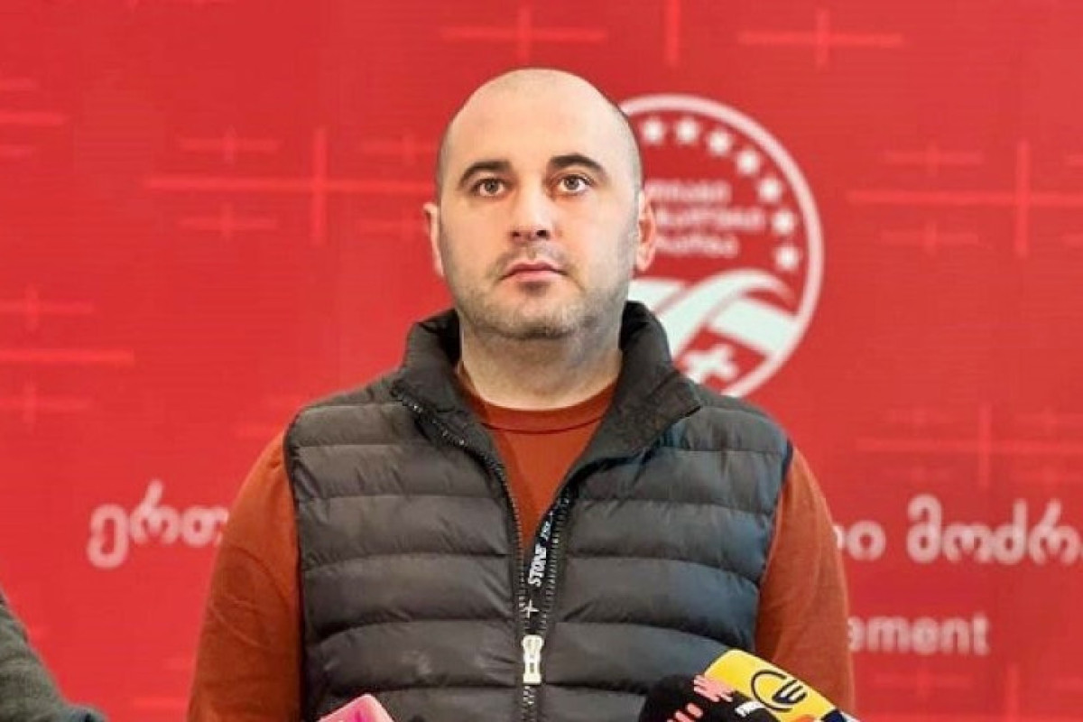 Gürcüstanda müxalif “Vahid Milli Hərəkat” partiyasına yeni sədr seçilib