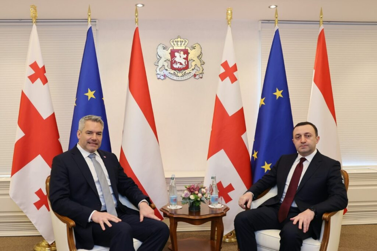 Qaribaşvili Tbilisidə Avstriya Kansleri ilə görüşüb