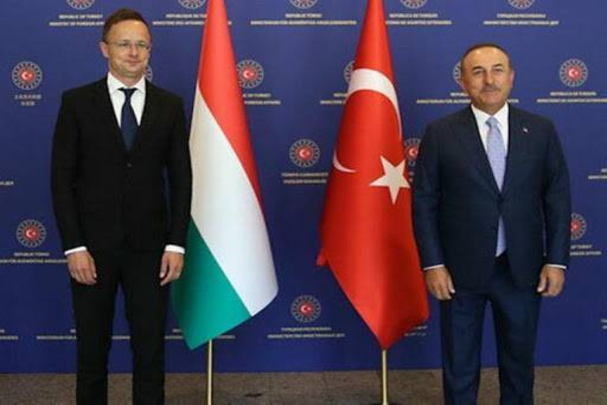 Türkiyə və Macarıstan NATO-nun genişlənməsini dəstəkləyir