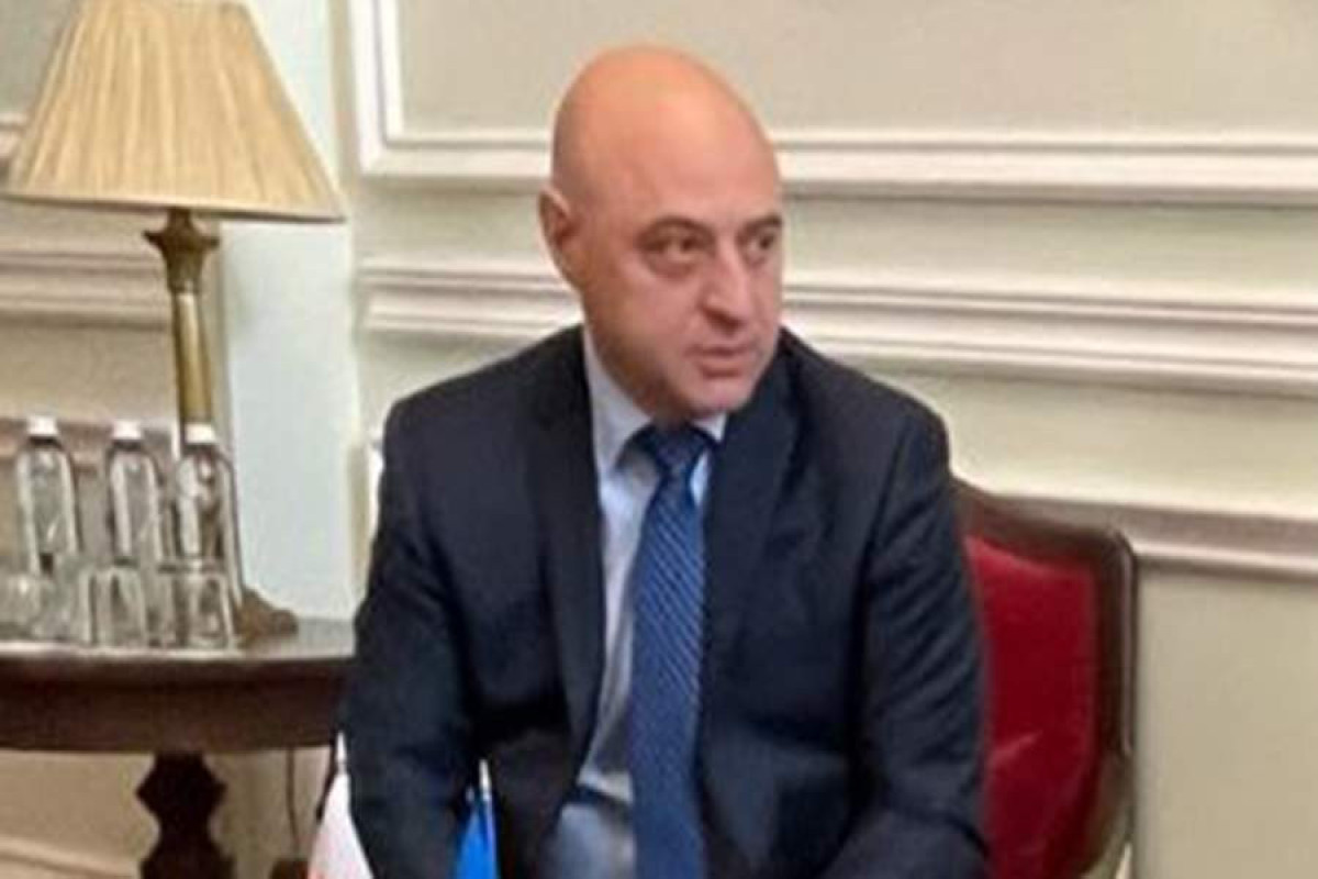 Gürcüstanın Ukraynadakı səfiri bu gün Kiyevi tərk edəcək