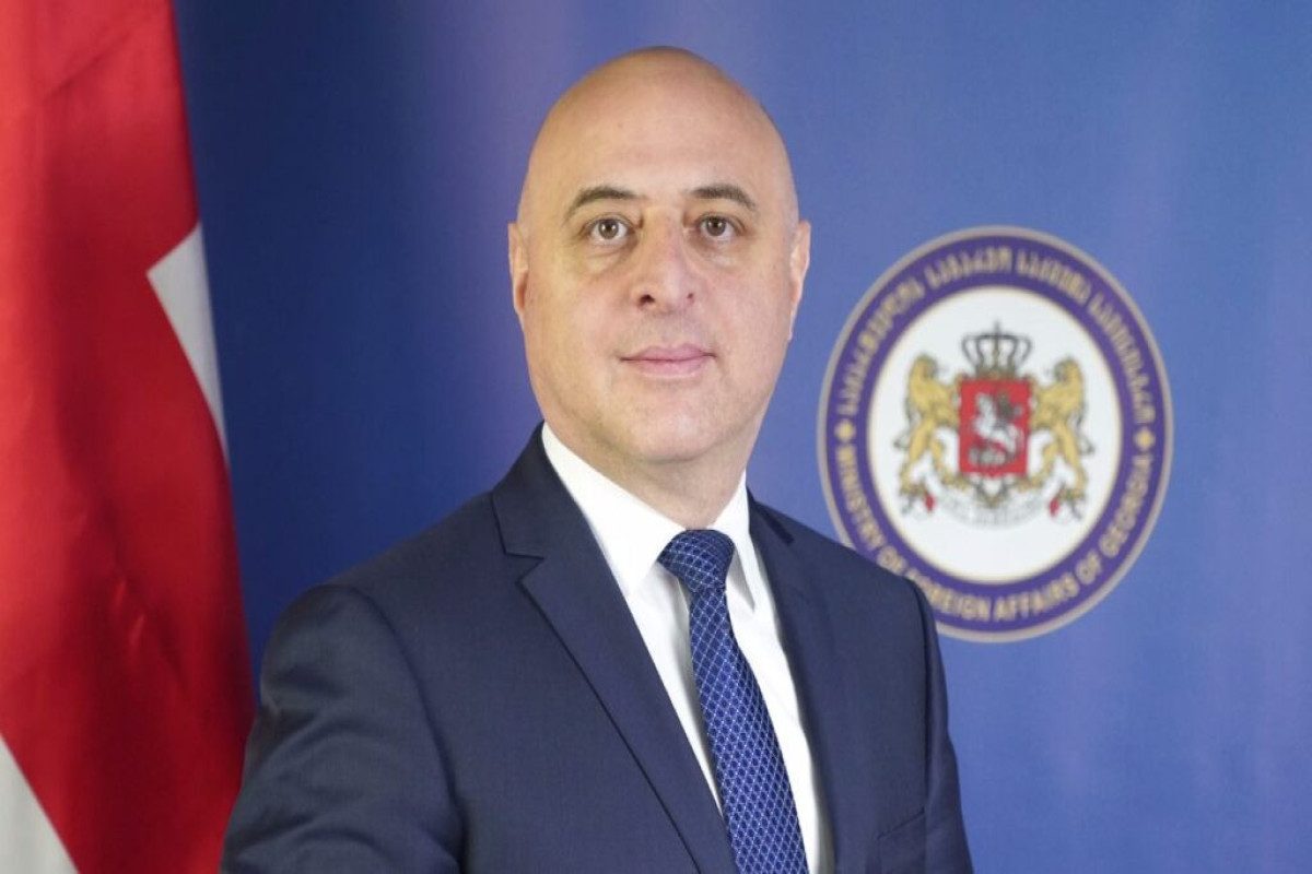 Gürcüstanın Ukraynadakı səfiri Giorgi Zakaraşvili Kiyevi tərk edib - YENİLƏNİB 