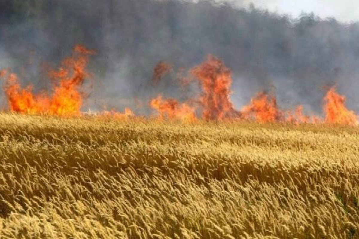 Qəsdən yanğın törədən sahibkarlara ayrılan subsidiyaların dayandırılması ilə bağlı müraciət olunub