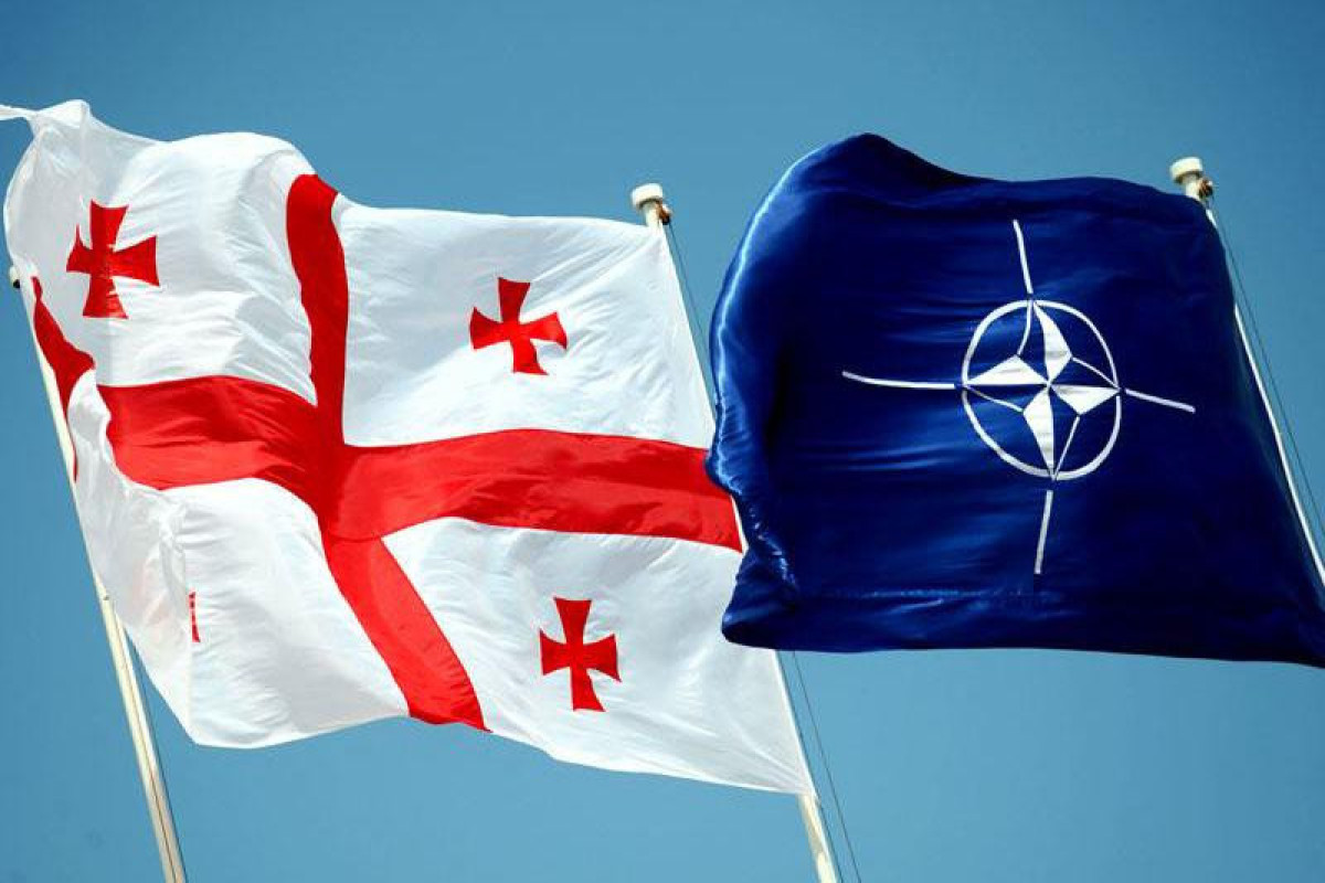 Spiker: Gürcüstan 2008-ci ildə NATO üzvü olsaydı, nə müharibə, nə də Rusiya işğalı olardı