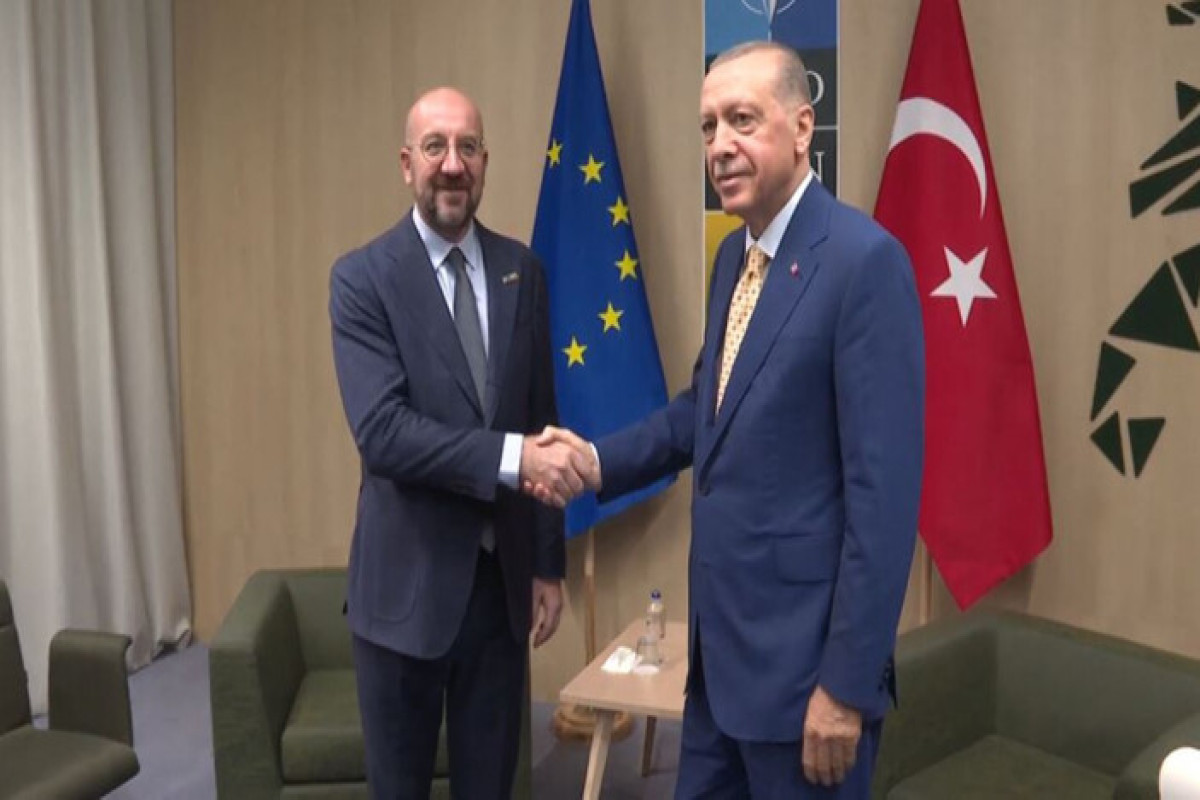 Ərdoğan Şarl Mişellə görüşüb