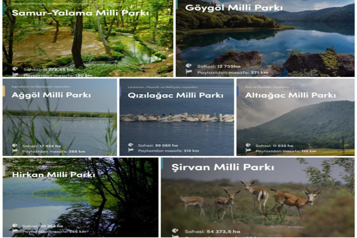 İstirahət günlərində milli parklarda gözlənilən hava şəraiti açıqlanıb