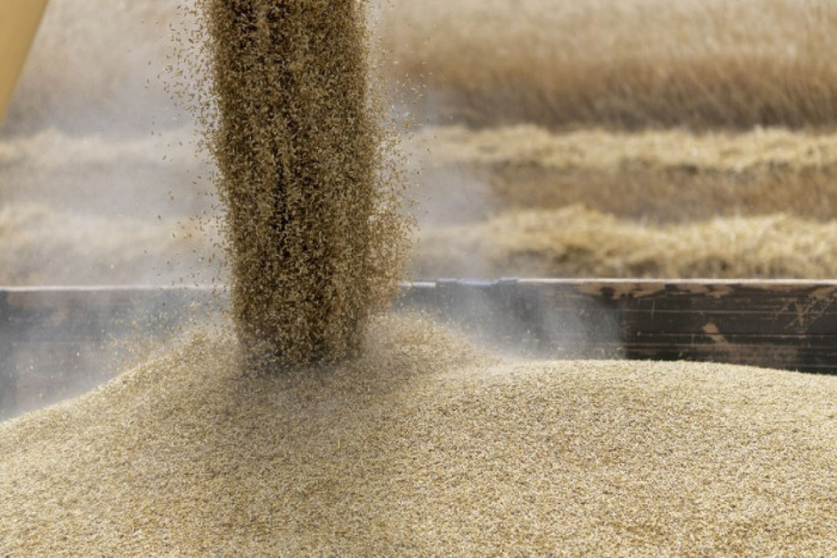 Срок действия зерновой сделки истекает 17 июля