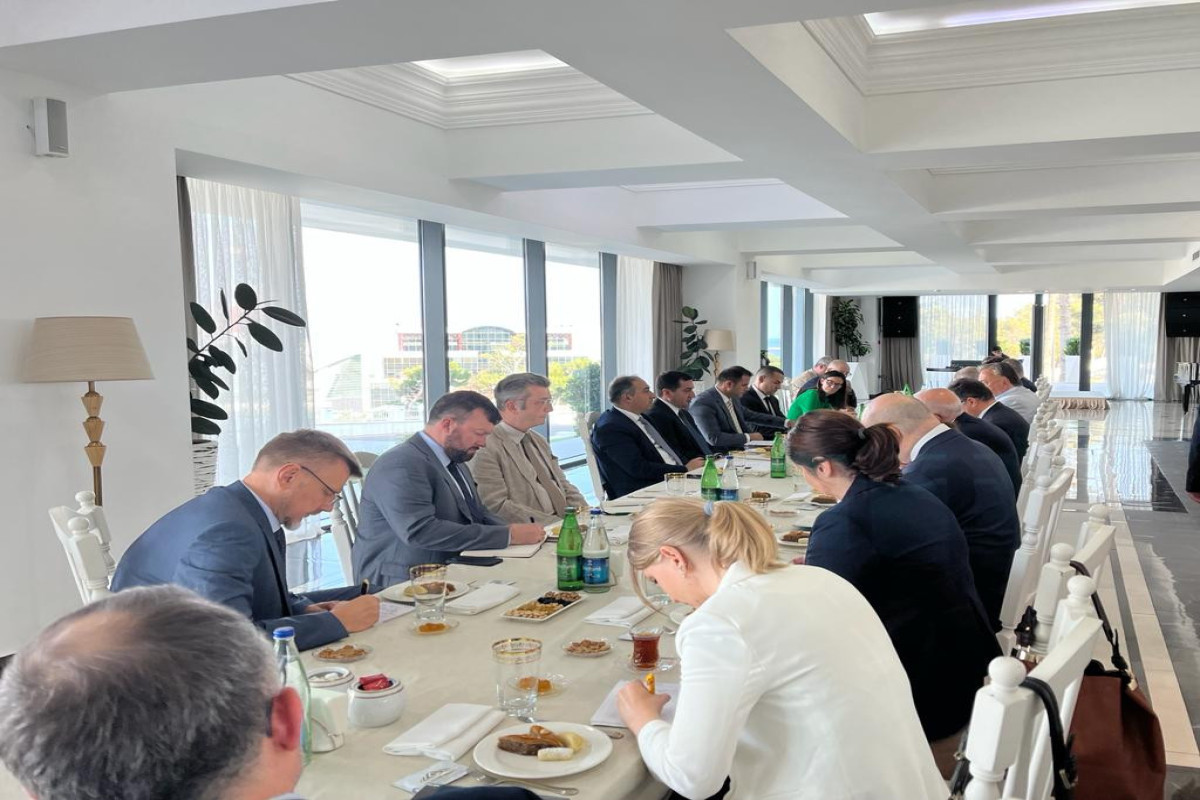 Assistant to Azerbaijani President meets with foreign ambassadors, described Armenia