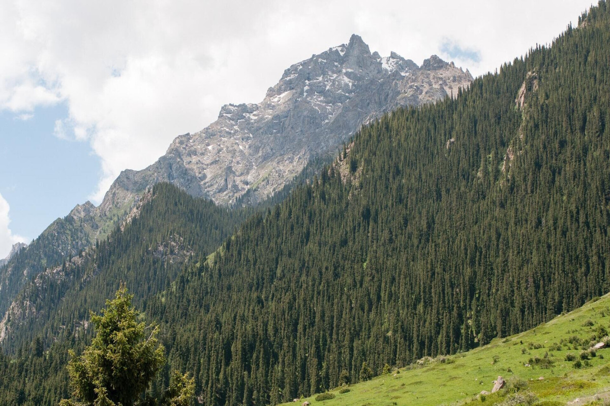 Rusiya və litvalı alpinistlər Qırğızıstanda itkin düşüblər