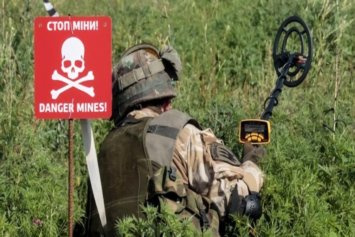 Xorvatiya Ukraynaya minalardan təmizləmə üçün 1 milyon avro ayırır