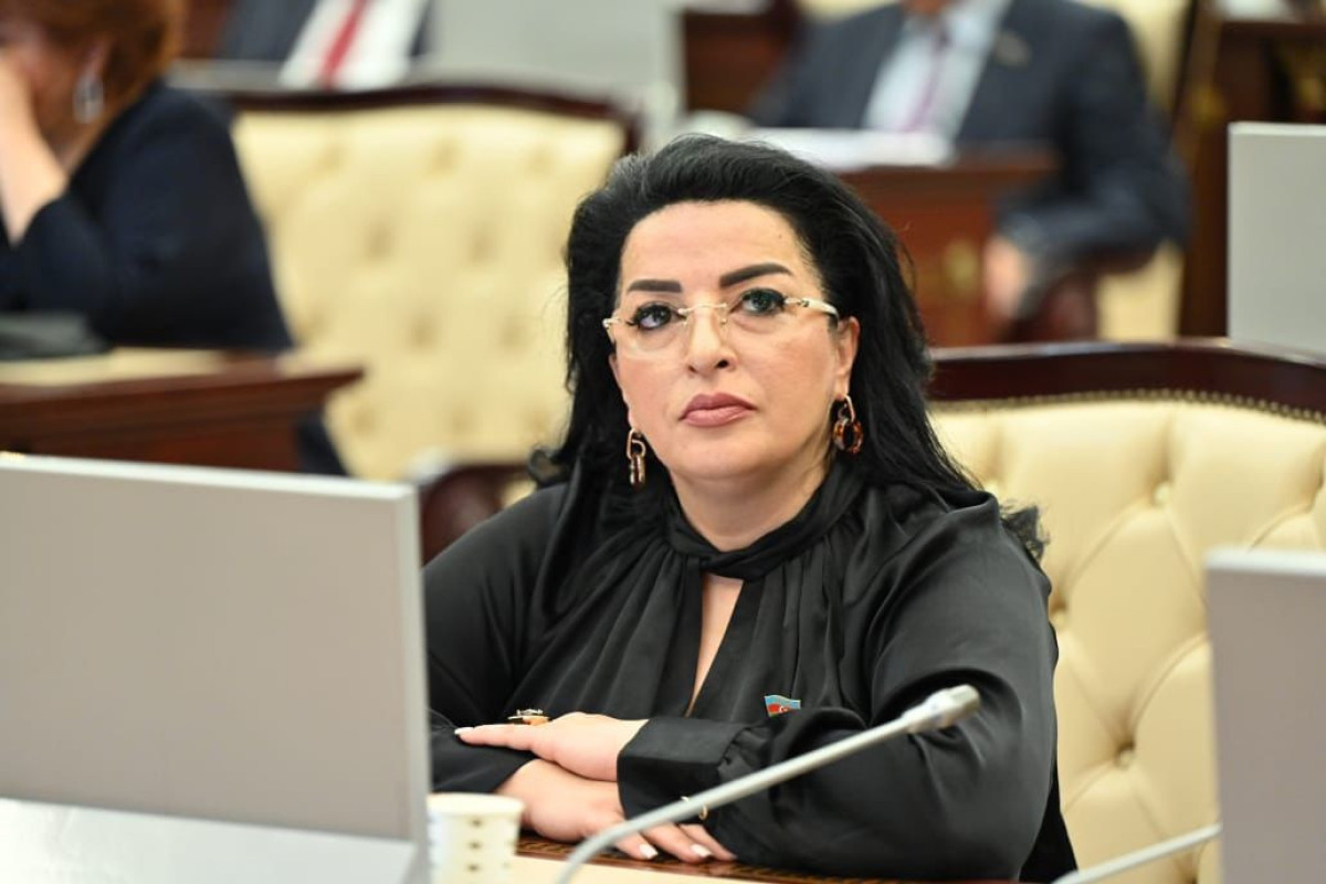 Deputat: Azərbaycan dünyada etibarlı tərəfdaş kimi tanınır