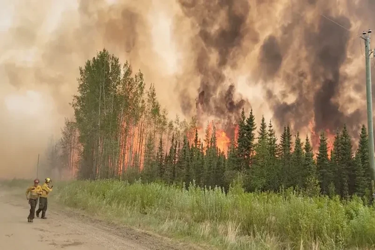 Canada wildfires burn more than 2.7 mn hectares throughout 2023