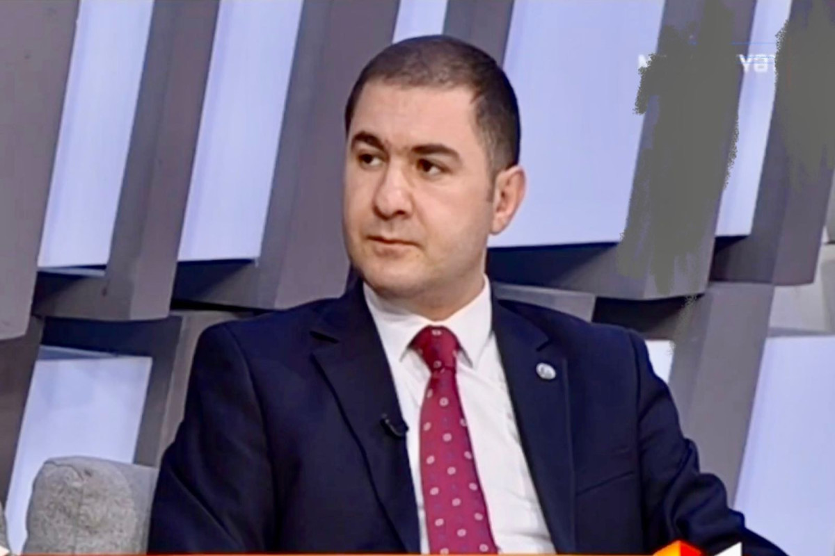 Ramiz Alıyev, politoloq