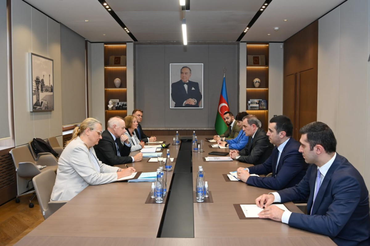 Azerbaijani FM met with co-rapporteurs of the PACE Monitoring Committee