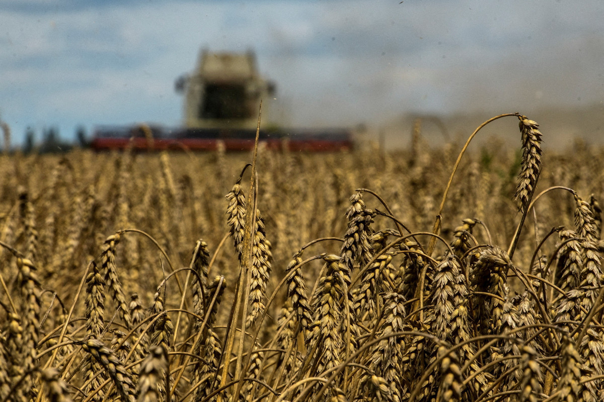 EU extends restrictions on Ukrainian grain imports