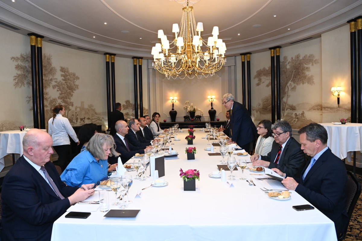 Azerbaijani FM attended the roundtable discussion in Austria