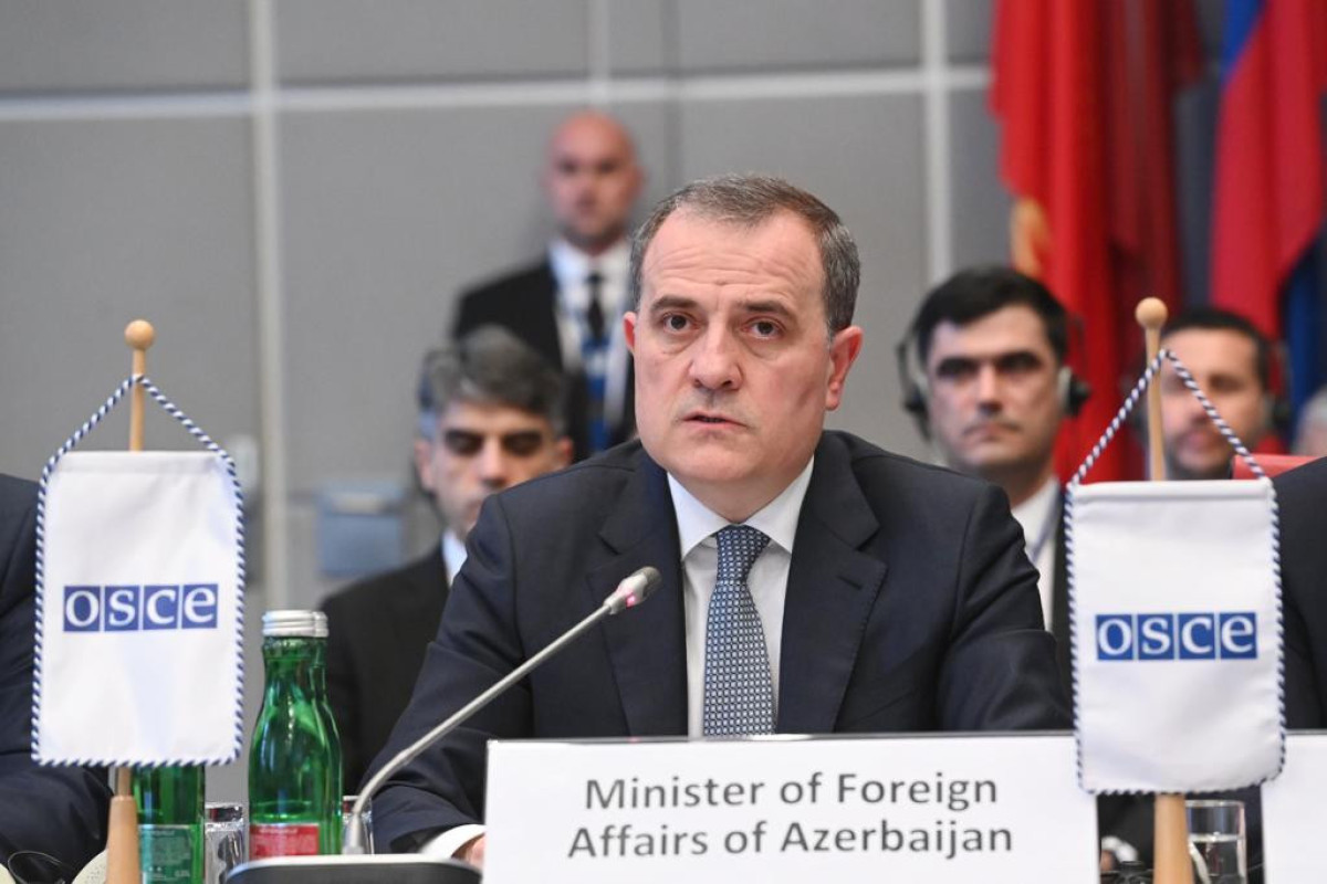 Azerbaijani FM delivers speech at Special OSCE Permanent Council meeting -PHOTO 