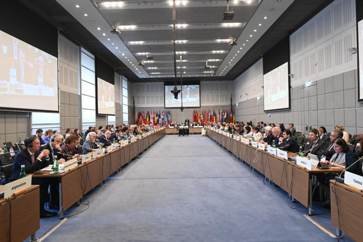 Azerbaijani FM delivers speech at Special OSCE Permanent Council meeting -PHOTO 