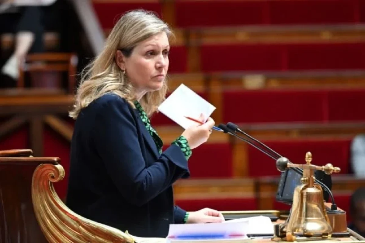 French parliament head to block bid to axe pension reform