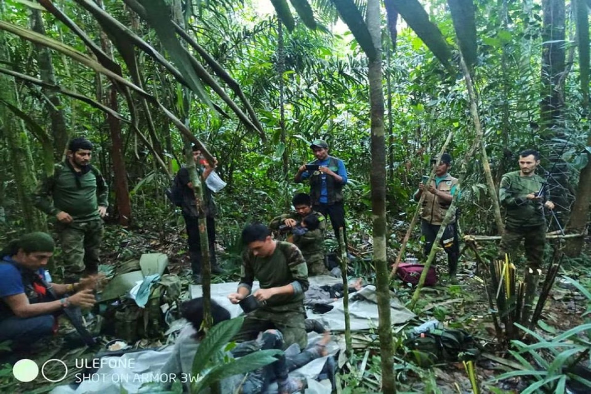 Four Colombian children found alive in jungle weeks after plane crash