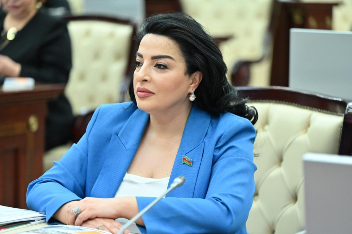 Fatma Yıldırım, Milli Məclisin deputatı