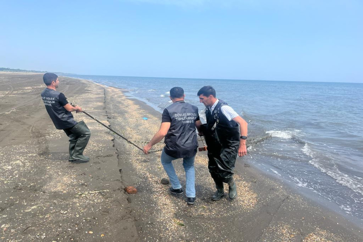 Bu günədək su hövzələrindən 535 ədəd sintetik tor yığışdırılıb