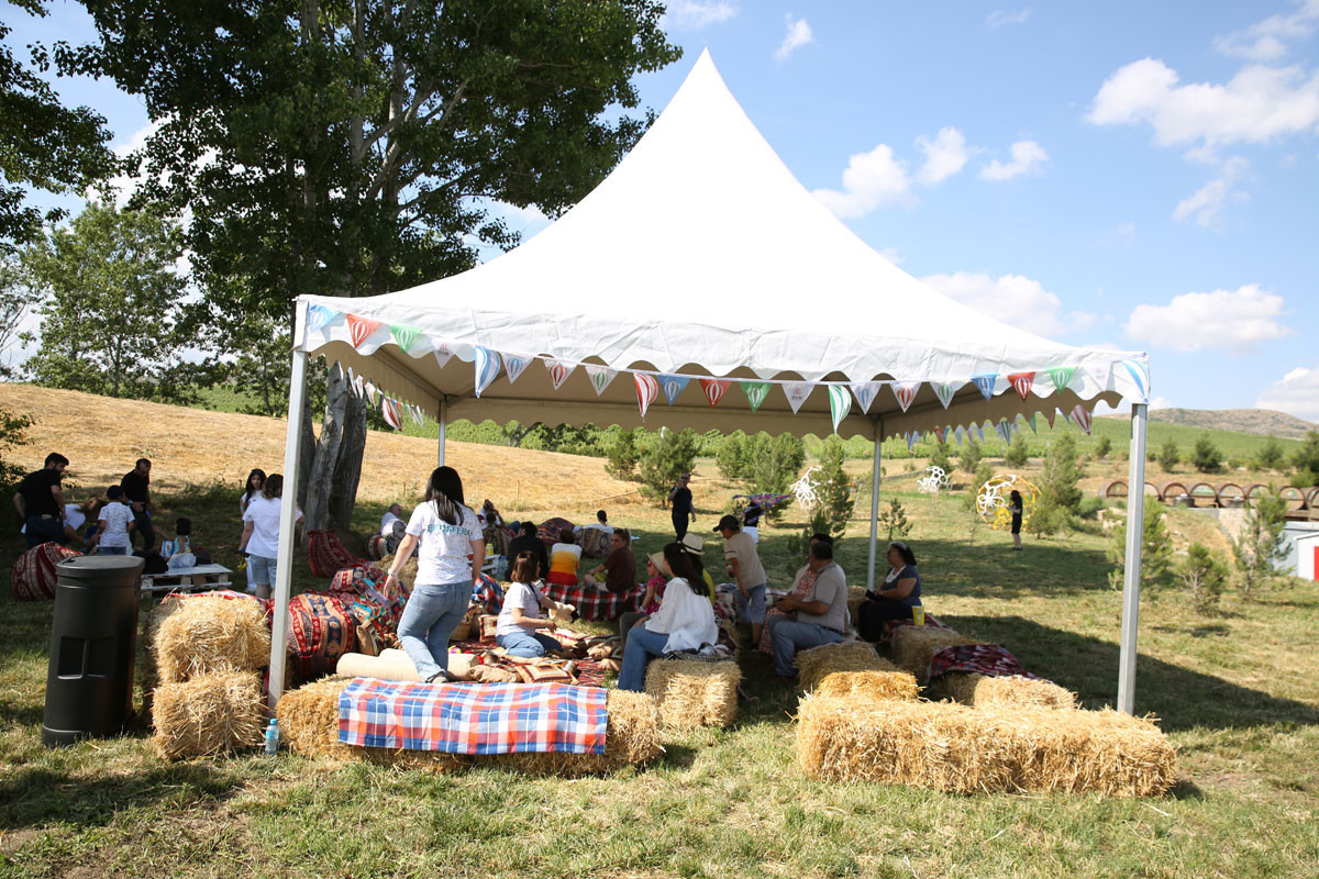 Azərbaycanda ilk Hava Şarları Festivalı keçirilib - FOTO 