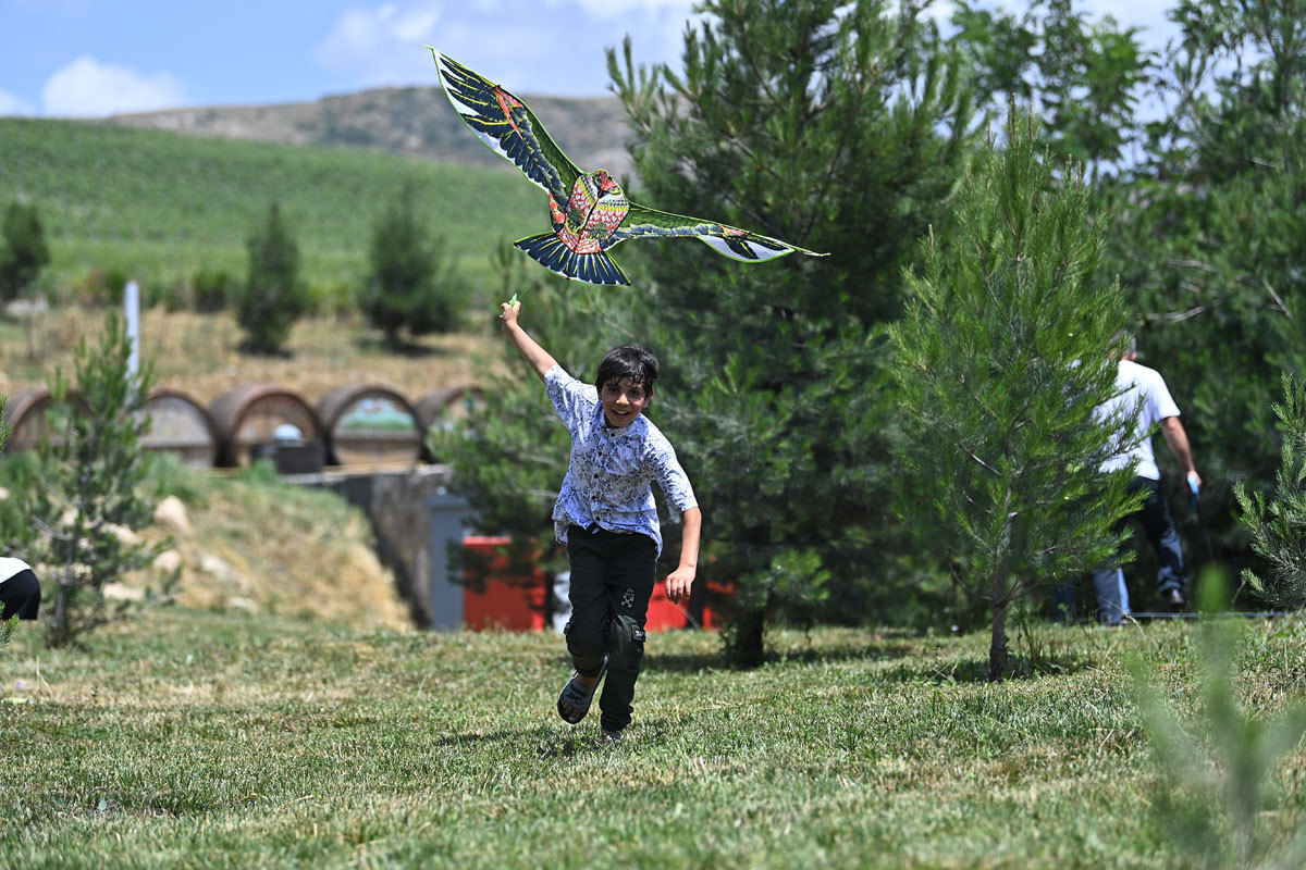 Azərbaycanda ilk Hava Şarları Festivalı keçirilib - FOTO 