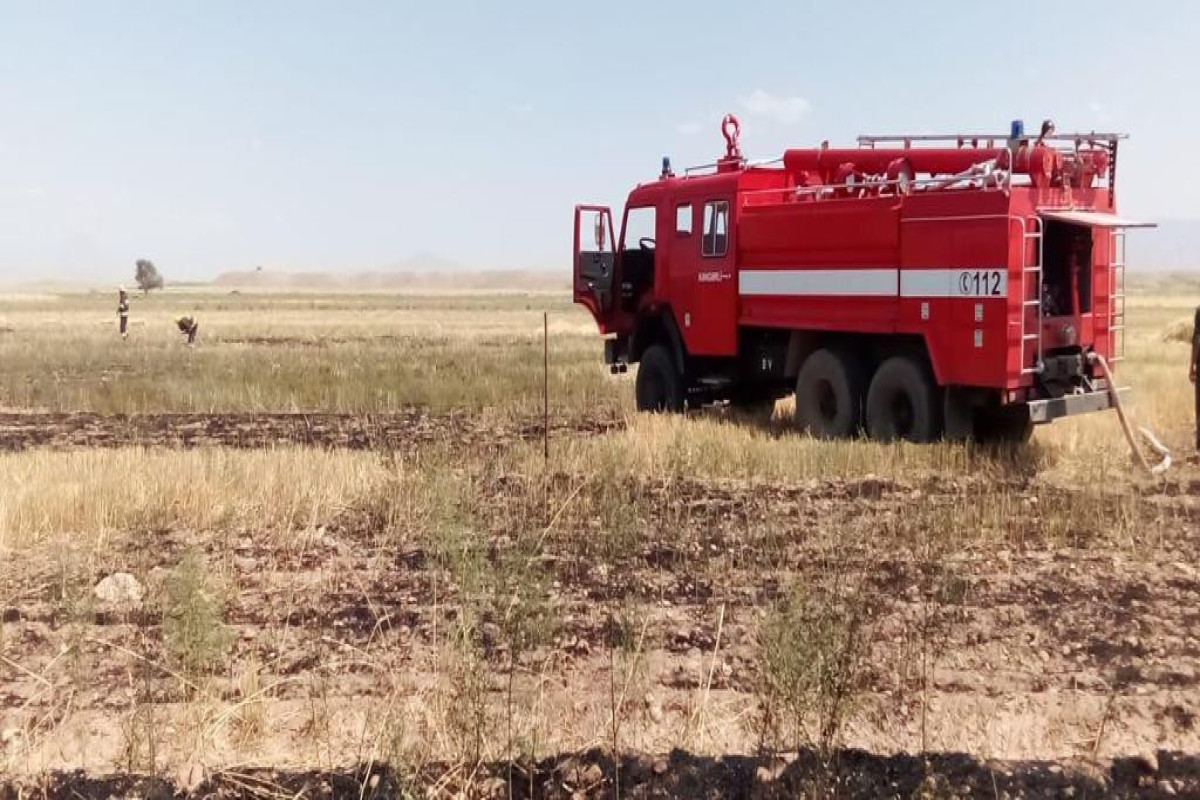 Naxçıvanda taxıl sahəsində yanğın olub  - FOTO 