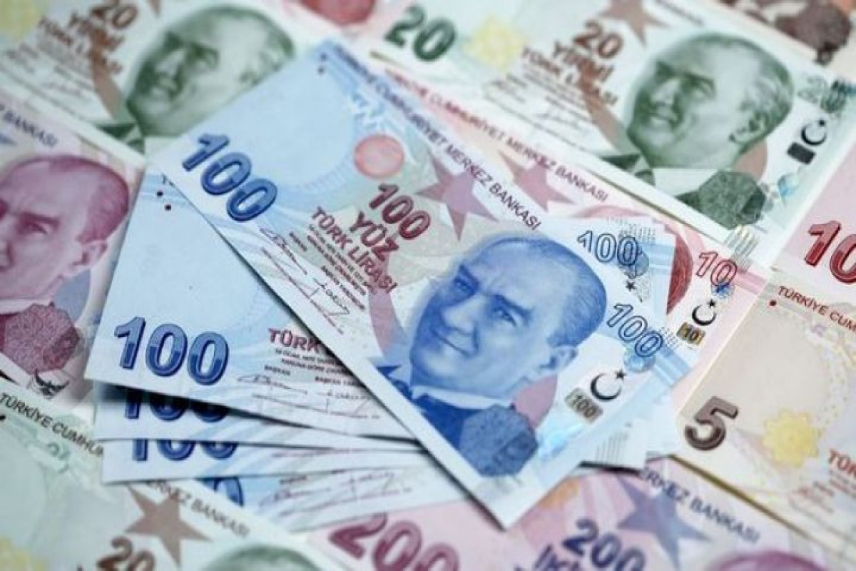В Турции минимальная заработная плата составила 11 402 лиры