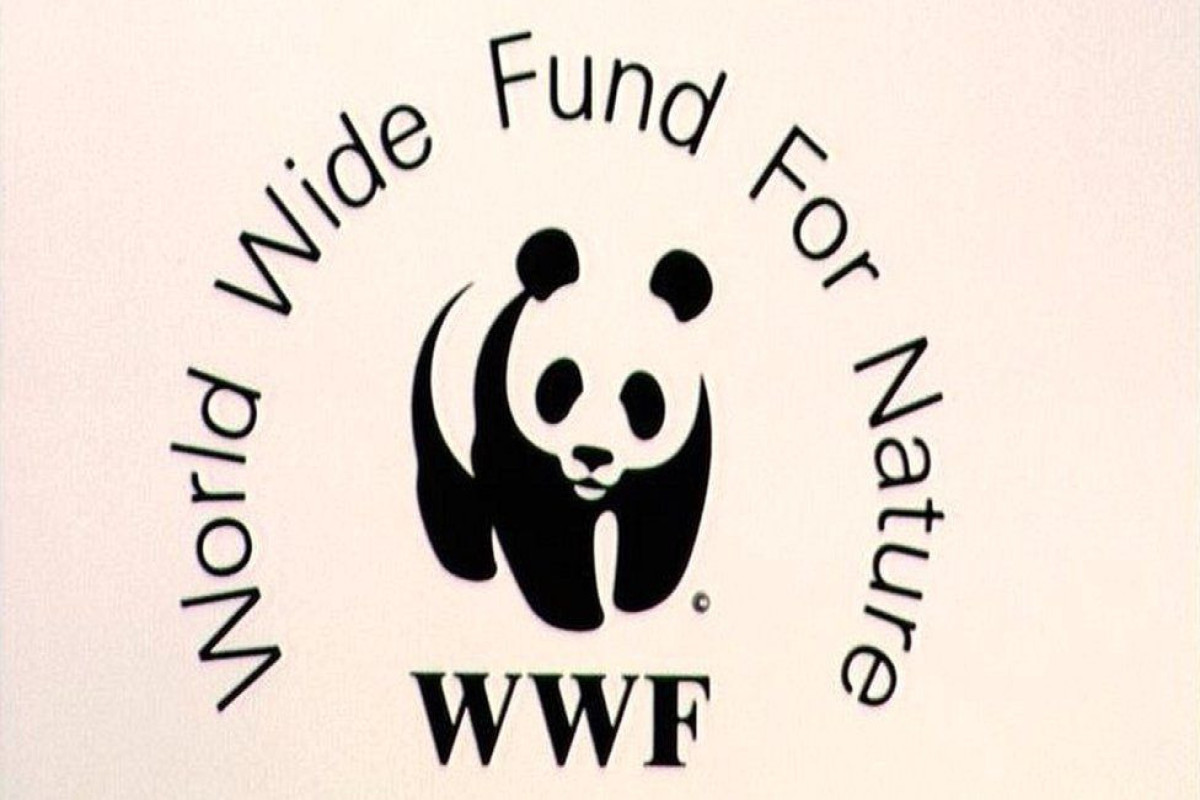 Rusiya WWF-nin ölkədə fəaliyyətini qadağan edib