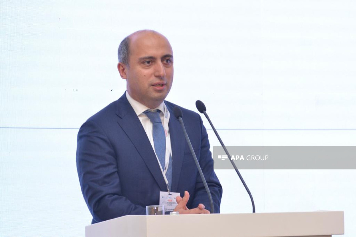 Emin Əmrullayev: Ali təhsildə differensiallaşmış əməkhaqqı sistemi vacibdir