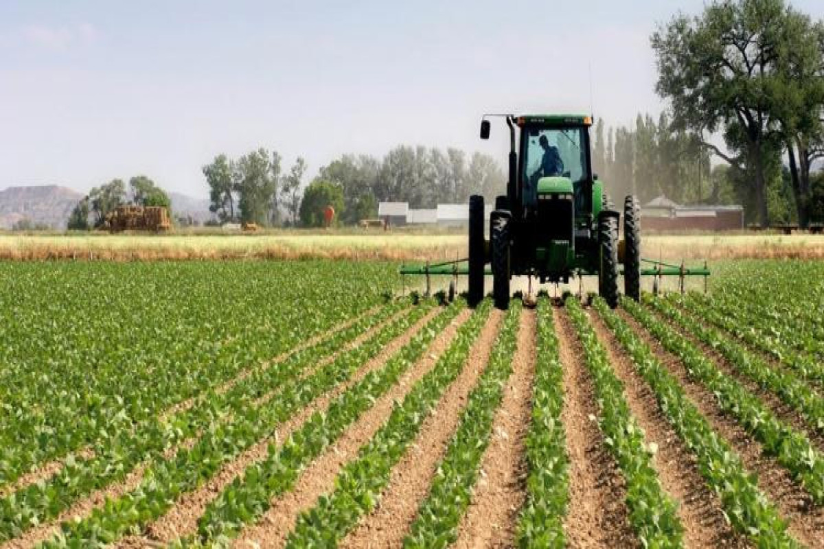Əkin sahələrinin becərilməsinə görə verilən subsidiyalar azalıb