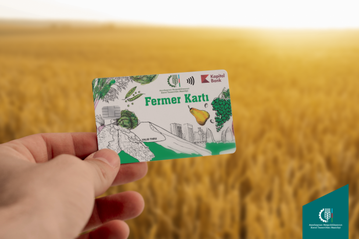 Hesablama Palatası ötən il əkin subsidiyası məbləğinin azalmasının səbəbini açıqlayıb