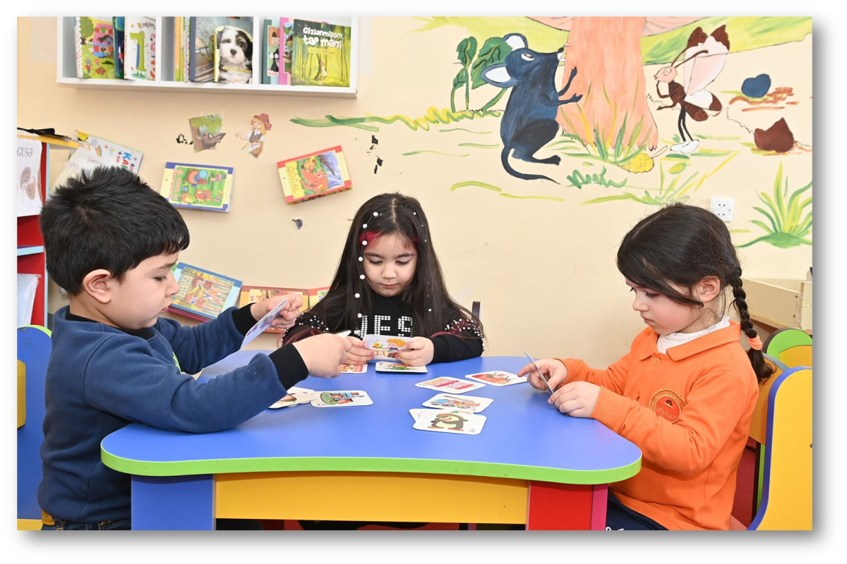 Hesablama Palatası məktəbəqədər təhsil sahəsində çatışmazlıqları açıqlayıb