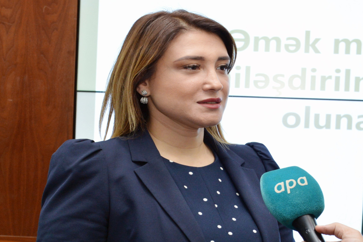 DVX-nin idarə rəisi: Həyatın yaşam sığortası özəl pensiya fondlarına keçidi stimullaşdırır