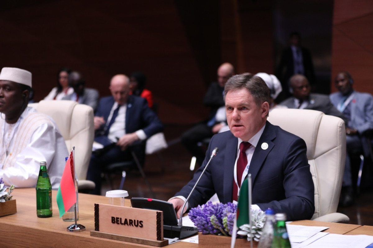 Baku Summit of Non-Aligned Movement Contact Group continues its work with plenary sessions-PHOTO 