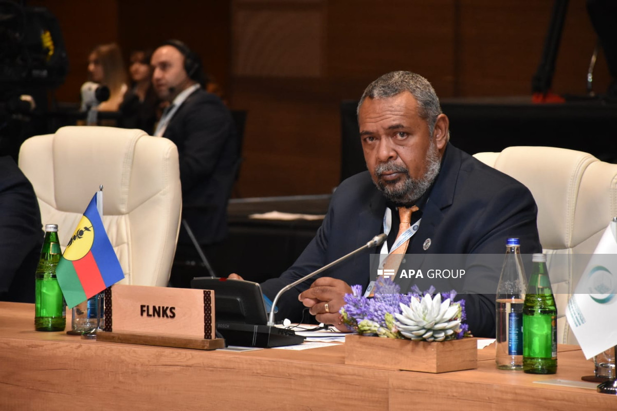 Представитель Новой Каледонии: Мы столкнулись с колониальной политикой даже в период пандемии, под давлением Франции был проведен референдум