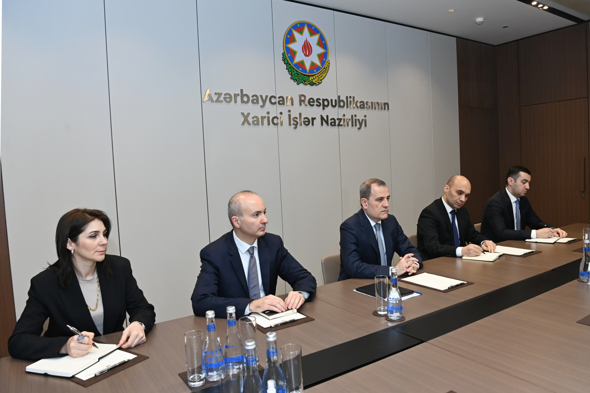 Azerbaijani FM and IAEA Director-General mull activity of Metsamor Nuclear Power Plant