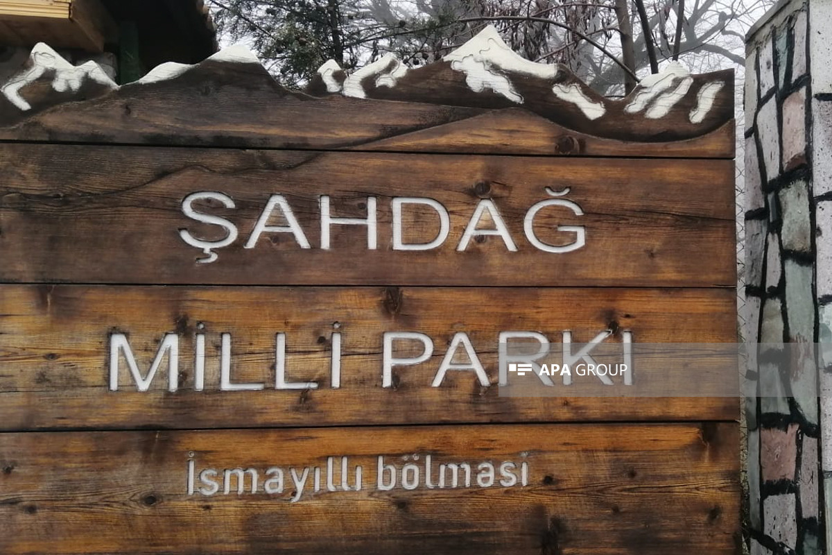 Şahdağ Milli Parkında “Açıq qapı” günü keçirilib  - FOTO 