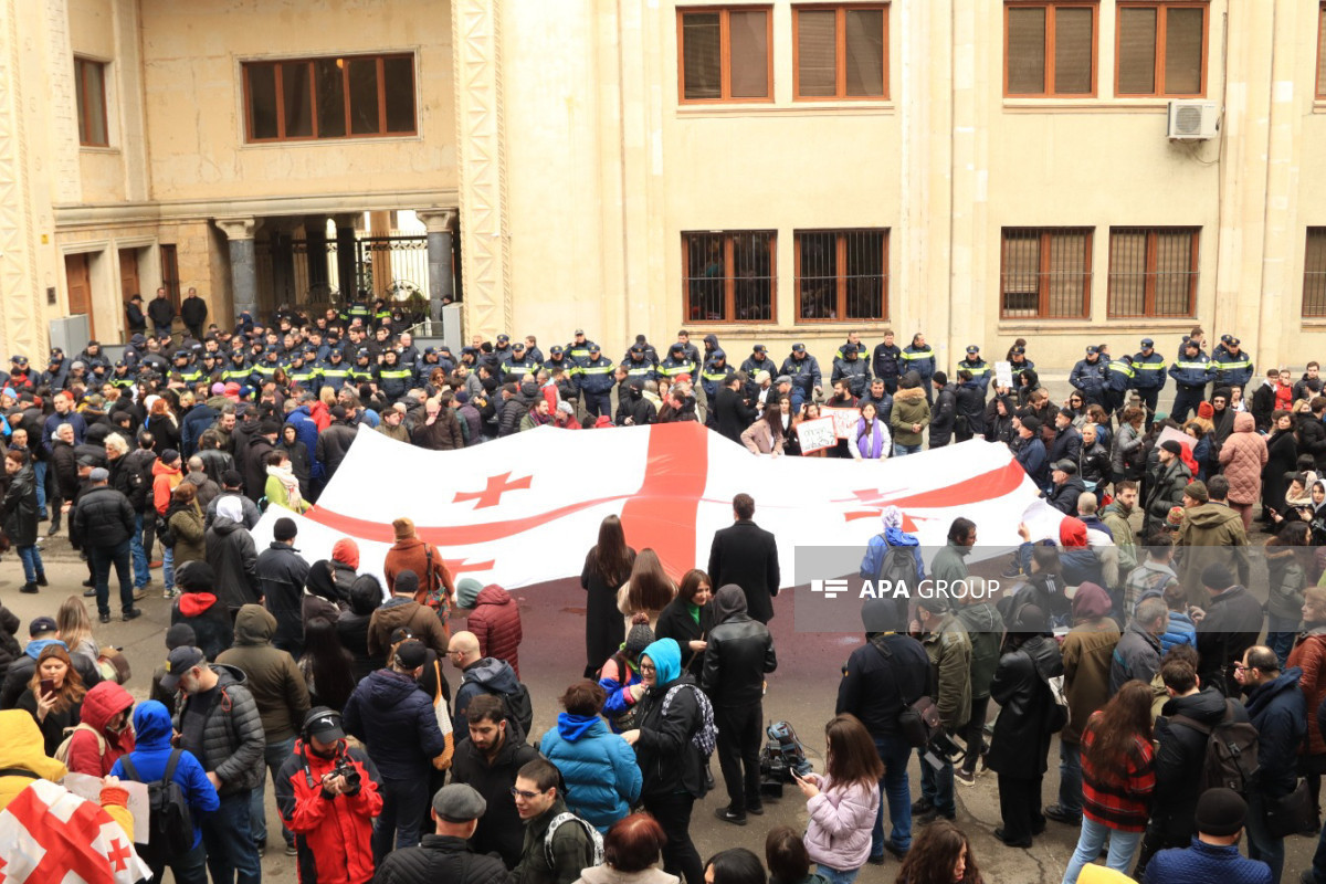 В Грузии у здания парламента проходит акция протеста - ФОТО 