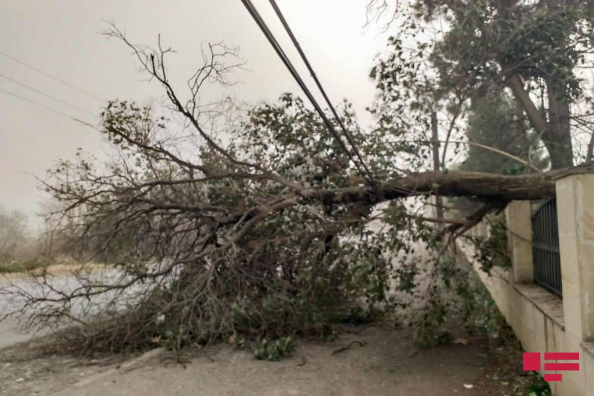Сильный ветер причинил ущерб в Губинском и Гусарском районах